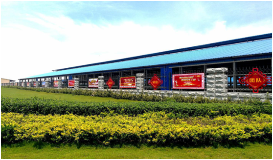 “ 看听谈查 ”板 找短板 党建巡查促提升——好博在线_好博在线(中国)集团党委开展基层党建工作巡查 “ 看听谈查 ”板 找短板 党建巡查促提升——好博在线_好博在线(中国)集团党委开展基层党建工作巡查