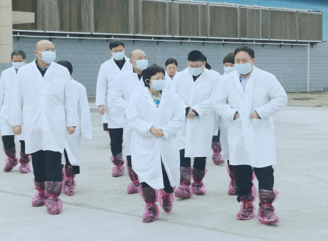河南省郑州市人民政府副市长李凤芝一行莅临好博在线_好博在线(中国)河南瑞亚参观调研 河南省郑州市人民政府副市长李凤芝一行莅临好博在线_好博在线(中国)河南瑞亚参观调研