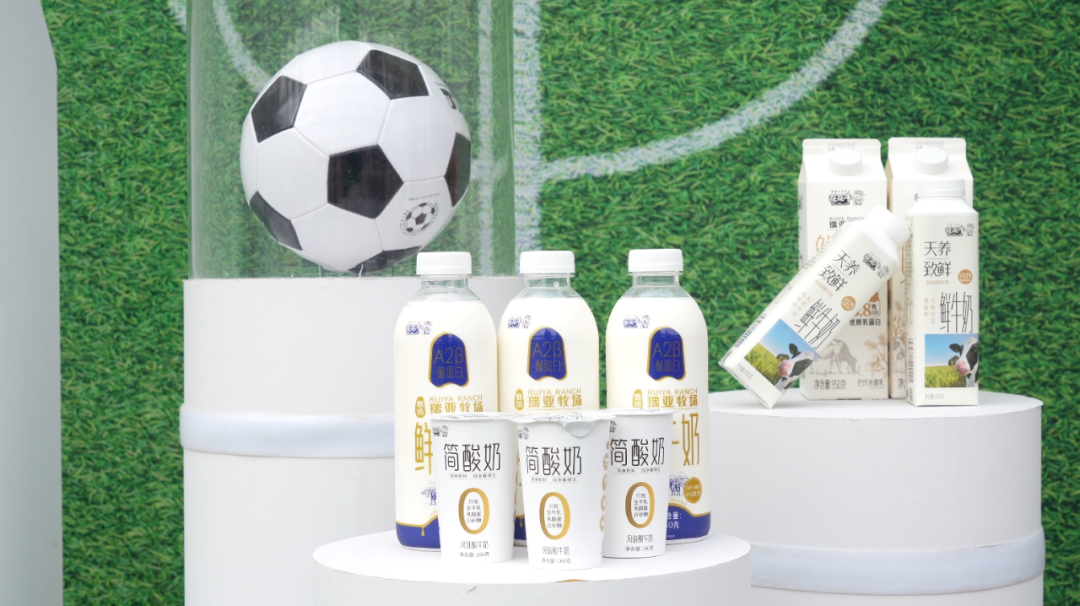 官宣丨好博在线_好博在线(中国)赞助河南足球,新赛季和河南足球一起牛气冲天! 官宣丨好博在线_好博在线(中国)赞助河南足球,新赛季和河南足球一起牛气冲天!