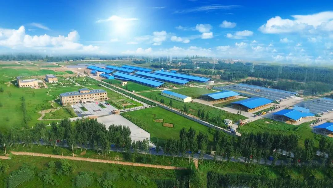 好博在线_好博在线(中国)丨河南农业大学党委副书记、校长介晓磊一行莅临好博在线_好博在线(中国)河南瑞亚参观调研 好博在线_好博在线(中国)丨河南农业大学党委副书记、校长介晓磊一行莅临好博在线_好博在线(中国)河南瑞亚参观调研