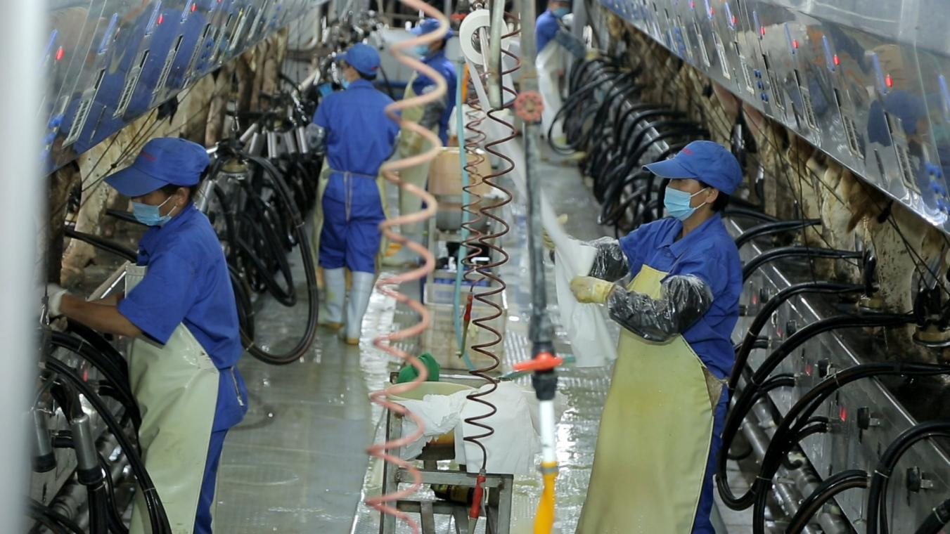 好博在线_好博在线(中国)丨河南农业大学党委副书记、校长介晓磊一行莅临好博在线_好博在线(中国)河南瑞亚参观调研 好博在线_好博在线(中国)丨河南农业大学党委副书记、校长介晓磊一行莅临好博在线_好博在线(中国)河南瑞亚参观调研