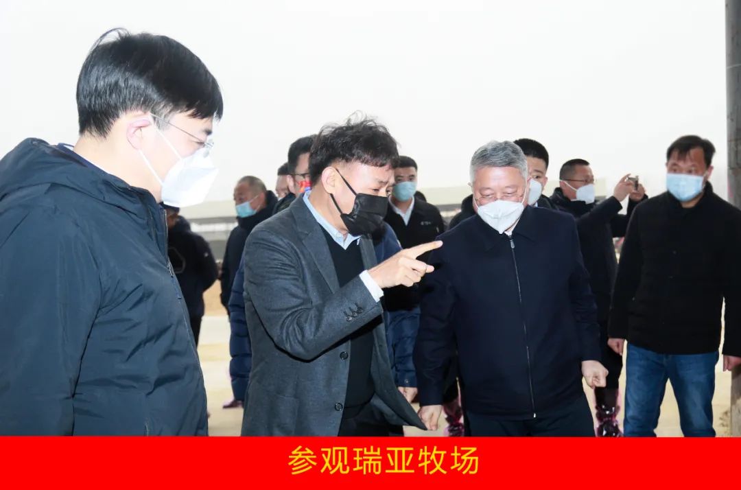 新年开新局 合作促发展丨佳木斯市委常委、副市长闫志刚一行莅临好博在线_好博在线(中国)乳业集团及佳田企业考察座谈 新年开新局 合作促发展丨佳木斯市委常委、副市长闫志刚一行莅临好博在线_好博在线(中国)乳业集团及佳田企业考察座谈