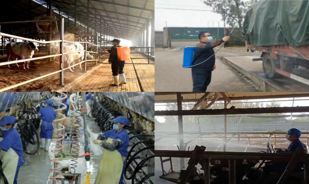 @全体好博在线_好博在线(中国)人:请珍惜你的岗位,请善待我们共同的“好博在线_好博在线(中国)”! @全体好博在线_好博在线(中国)人:请珍惜你的岗位,请善待我们共同的“好博在线_好博在线(中国)”!