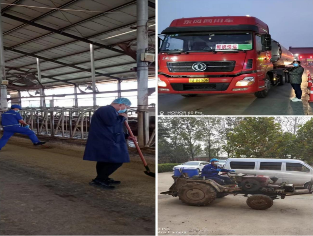 好博在线_好博在线(中国)丨点点微光汇星河——养殖事业部抗疫保生产侧记 好博在线_好博在线(中国)丨点点微光汇星河——养殖事业部抗疫保生产侧记