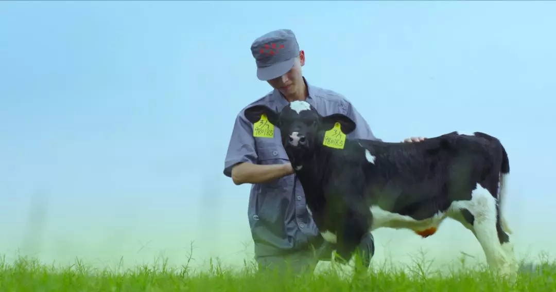 河南省人大常委会党组书记、副主任孔昌生莅临好博在线_好博在线(中国)鲁山瑞亚牧场参观调研 河南省人大常委会党组书记、副主任孔昌生莅临好博在线_好博在线(中国)鲁山瑞亚牧场参观调研