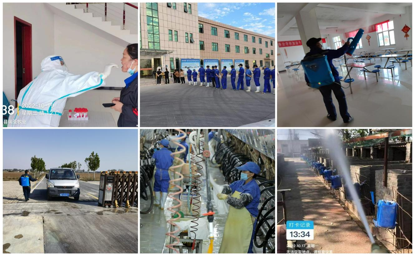 抗疫情、保供应、显担当——好博在线_好博在线(中国)在行动!!! 抗疫情、保供应、显担当——好博在线_好博在线(中国)在行动!!!