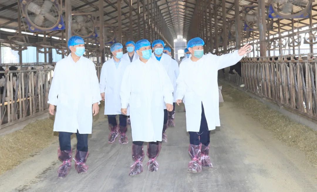 快讯丨河南省人民政府副省长武国定莅临好博在线_好博在线(中国)乳业集团瑞亚牧业调研奶源基地建设情况 快讯丨河南省人民政府副省长武国定莅临好博在线_好博在线(中国)乳业集团瑞亚牧业调研奶源基地建设情况