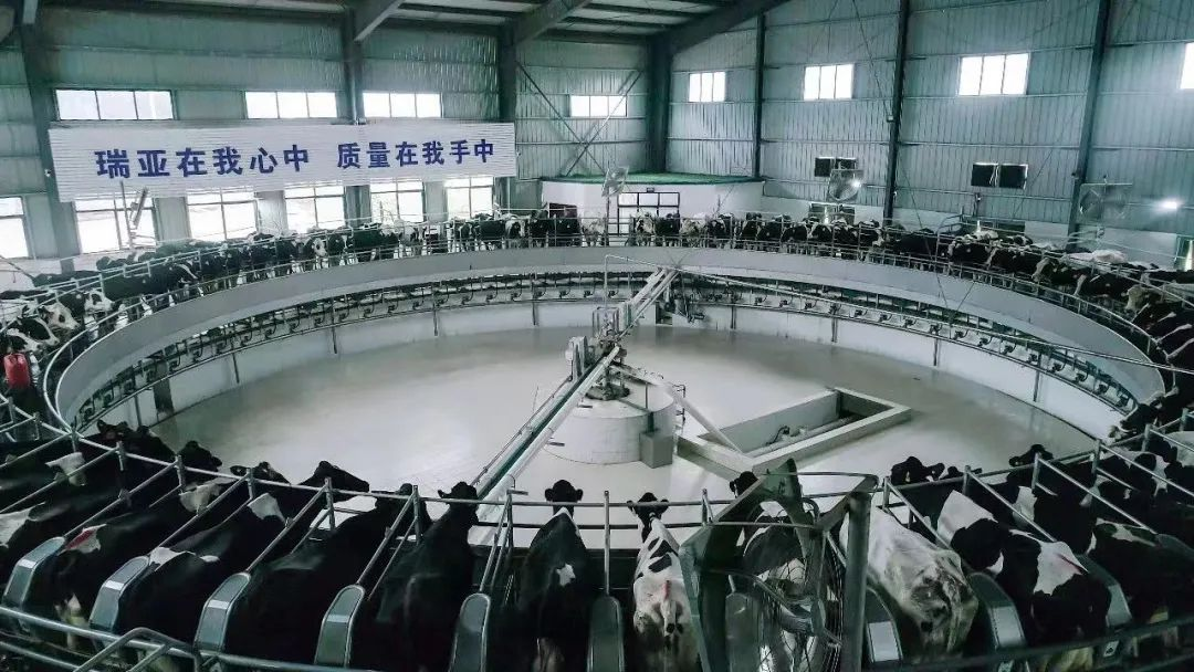 好博在线_好博在线（中国） | 河南瑞亚牧业入选“河南省畜禽核心育种场”