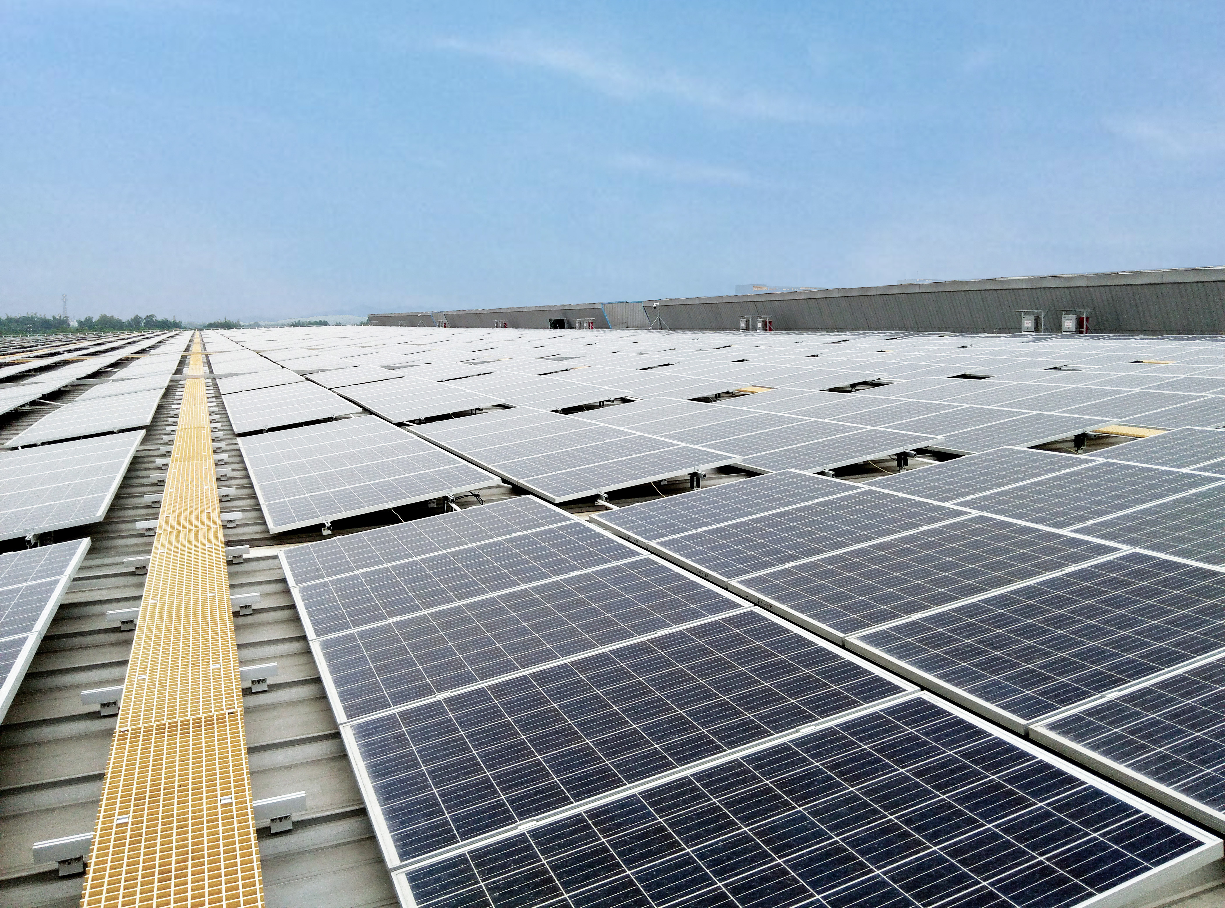 好博在线_好博在线（中国）乳业集团与国电河南新能源有限公司举行光伏项目合作开发签约仪式