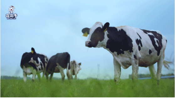 河南省高级人民法院院长胡道才一行莅临好博在线_好博在线（中国）乳业集团开展“万人助万企”活动 助力企业发展