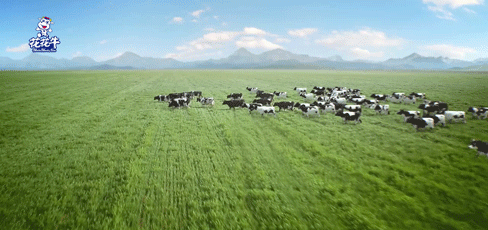 快讯 | 2020河南民营企业100强发布 好博在线_好博在线（中国）荣获“河南民营企业现代农业100强”、“河南民营企业社会责任100强”双荣誉