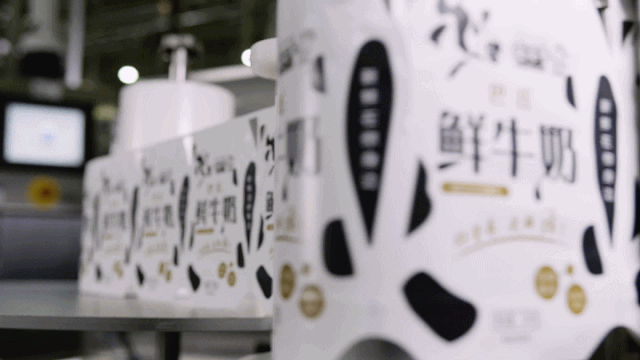 好博在线_好博在线（中国） | “2020河南食品安全与发展论坛——新常态下的高质量发展”成功举办