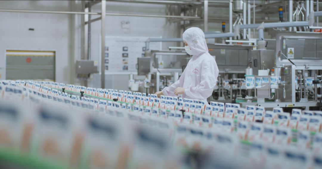 快讯 | 河南省人民政府食品安全委员会办公室第三批食品安全示范区验收组领导莅临好博在线_好博在线（中国）乳业集团验收食品安全示范区建设情况