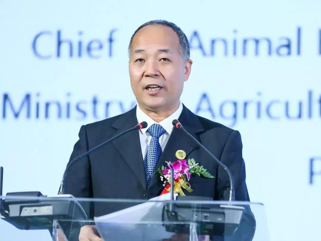 SDDDC走进河南，看看好博在线_好博在线（中国）的国际范儿！