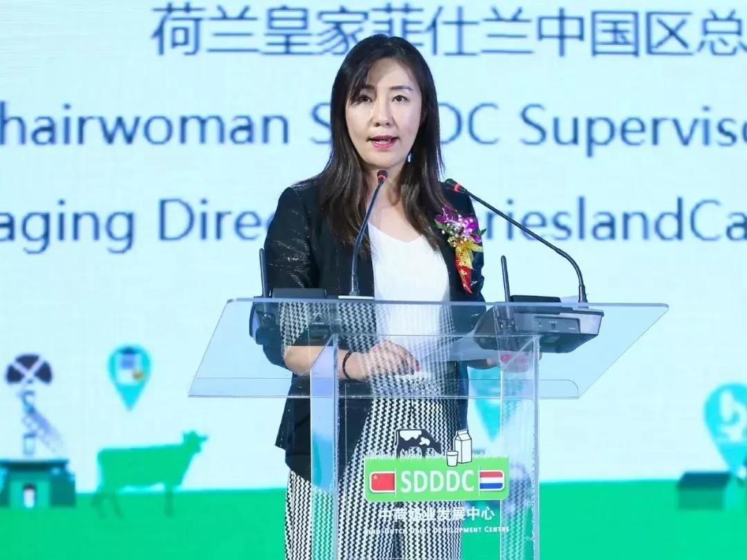 SDDDC走进河南，看看好博在线_好博在线（中国）的国际范儿！