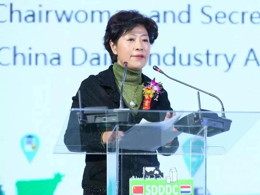 SDDDC走进河南，看看好博在线_好博在线（中国）的国际范儿！