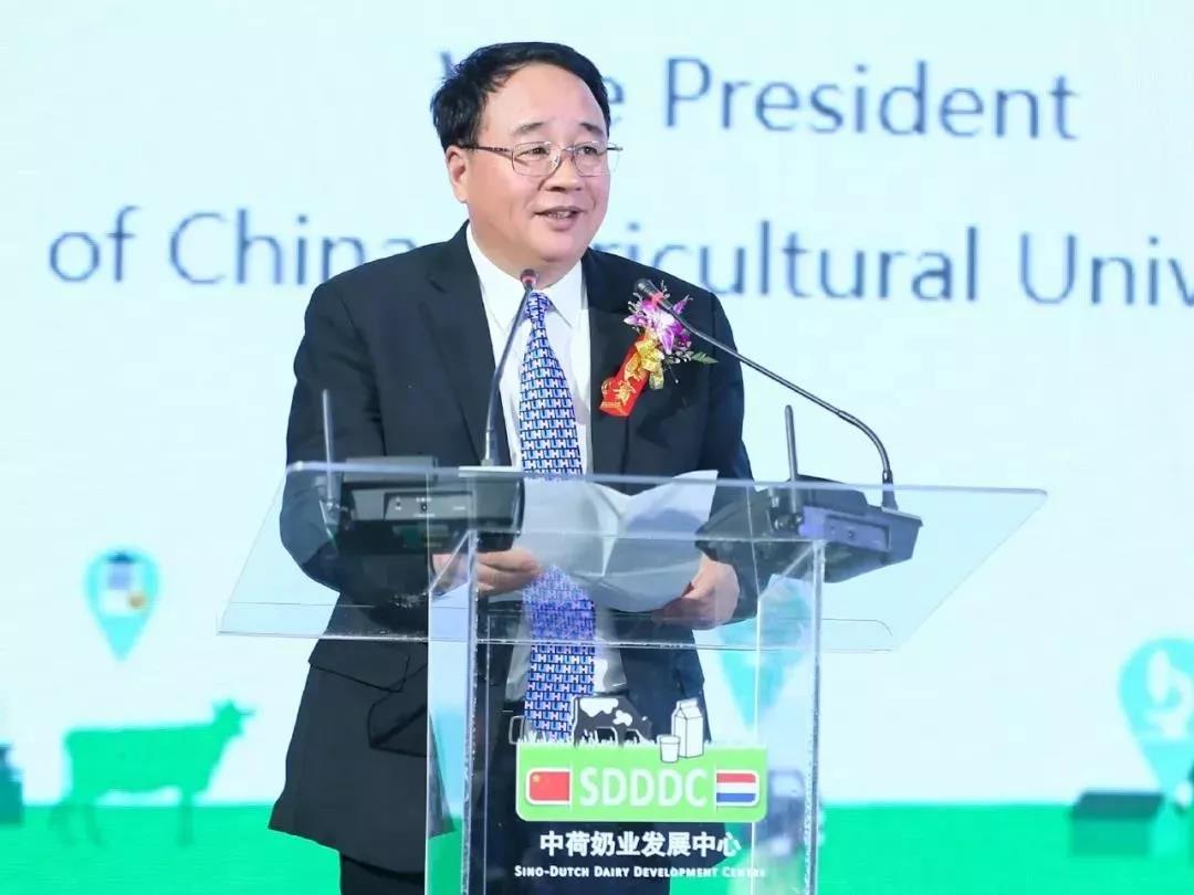 SDDDC走进河南，看看好博在线_好博在线（中国）的国际范儿！