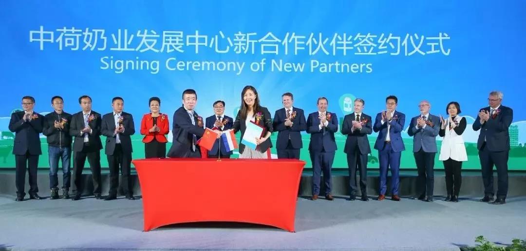 SDDDC走进河南，看看好博在线_好博在线（中国）的国际范儿！