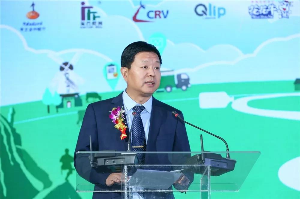 SDDDC走进河南，看看好博在线_好博在线（中国）的国际范儿！