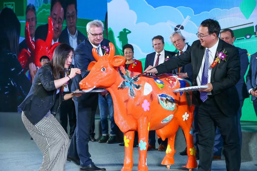 SDDDC走进河南，看看好博在线_好博在线（中国）的国际范儿！