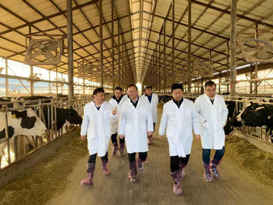 宁夏回族自治区农业农村厅党组书记、厅长王刚一行莅临好博在线_好博在线（中国）乳业集团调研