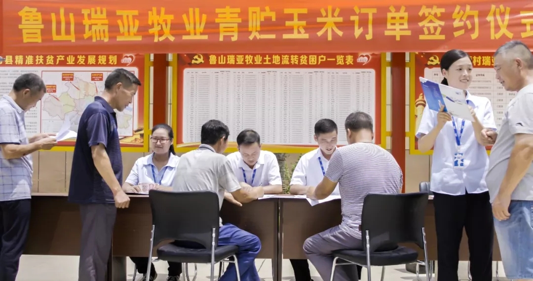 省委书记王国生到河南好博在线_好博在线（中国）乳业集团·新蔡瑞亚牧业有限公司调研