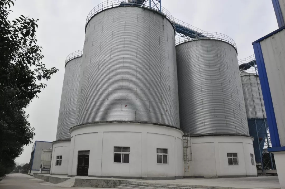 第31届中原畜牧业交易博览会 || 好博在线_好博在线（中国）乳业集团获“河南省畜牧行业——最具影响力品牌”奖