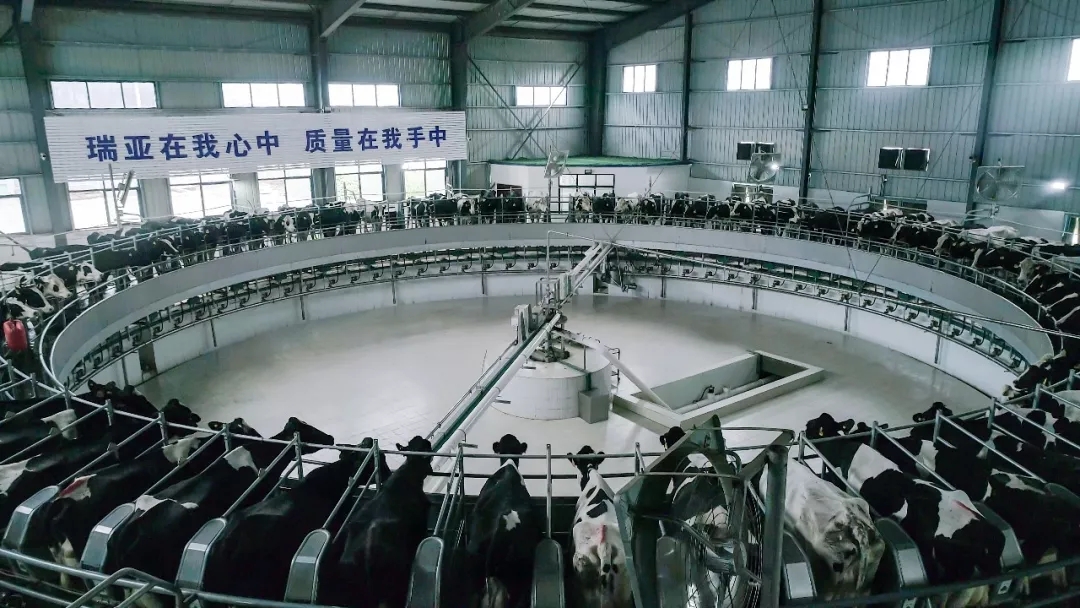 第31届中原畜牧业交易博览会 || 好博在线_好博在线（中国）乳业集团获“河南省畜牧行业——最具影响力品牌”奖