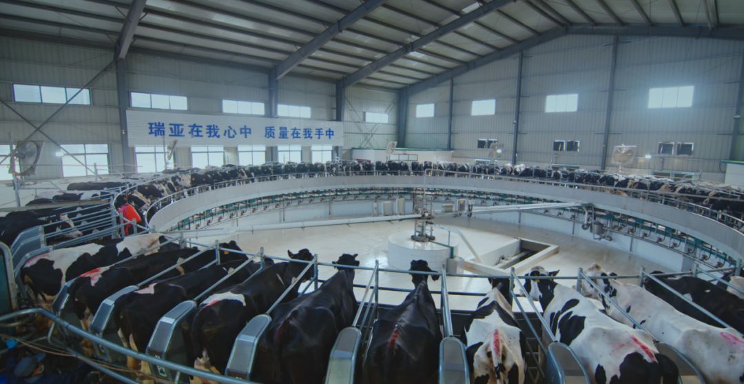 好博在线_好博在线(中国)集团旗下六家公司入选省农业产业化重点龙头企业名单 好博在线_好博在线(中国)集团旗下六家公司入选省农业产业化重点龙头企业名单