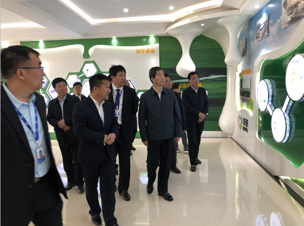 河南省委副书记、省长陈润儿一行莅临 好博在线_好博在线(中国)集团鲁山瑞亚牧业有限公司视察调研 河南省委副书记、省长陈润儿一行莅临 好博在线_好博在线(中国)集团鲁山瑞亚牧业有限公司视察调研