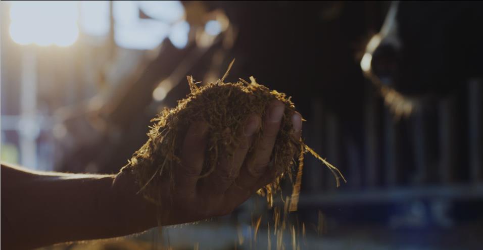 又双叒叕获奖啦!好博在线_好博在线(中国)荣获“乳品质量安全管理 优秀企业” 又双叒叕获奖啦!好博在线_好博在线(中国)荣获“乳品质量安全管理 优秀企业”