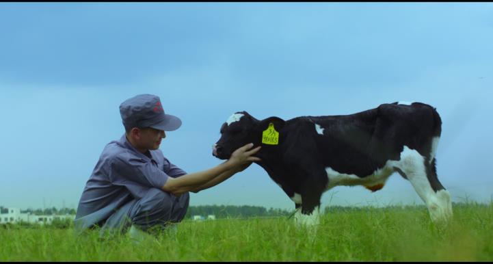 又双叒叕获奖啦!好博在线_好博在线(中国)荣获“乳品质量安全管理 优秀企业” 又双叒叕获奖啦!好博在线_好博在线(中国)荣获“乳品质量安全管理 优秀企业”