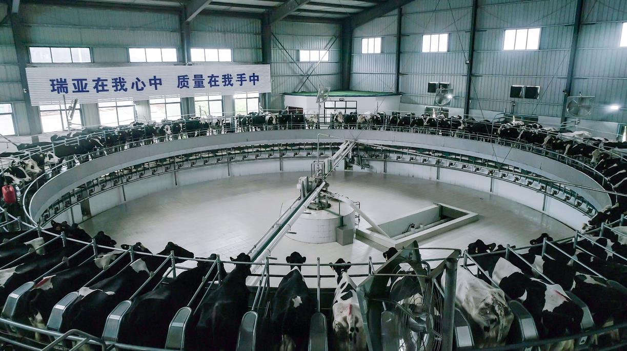 又双叒叕获奖啦!好博在线_好博在线(中国)荣获“乳品质量安全管理 优秀企业” 又双叒叕获奖啦!好博在线_好博在线(中国)荣获“乳品质量安全管理 优秀企业”