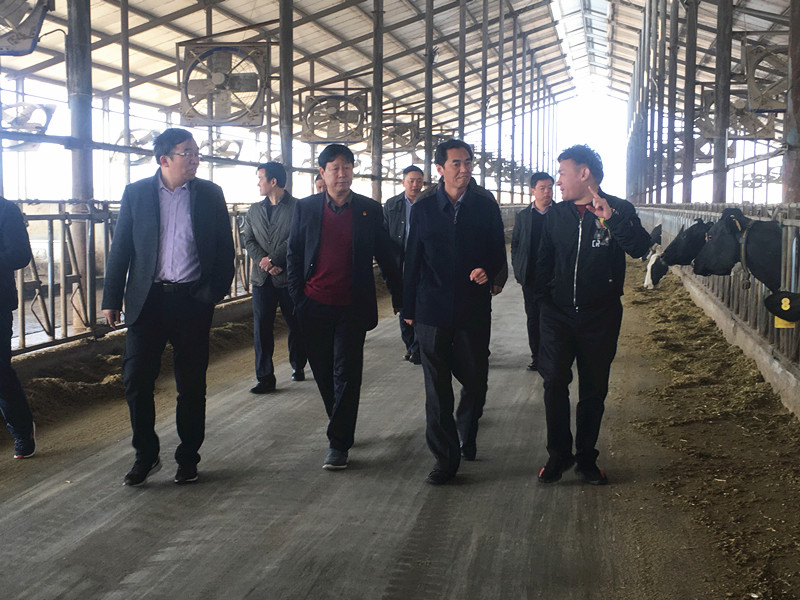 封丘县县长王献臣一行莅临 好博在线_好博在线(中国)集团养殖、乳品事业部参观调研 封丘县县长王献臣一行莅临 好博在线_好博在线(中国)集团养殖、乳品事业部参观调研