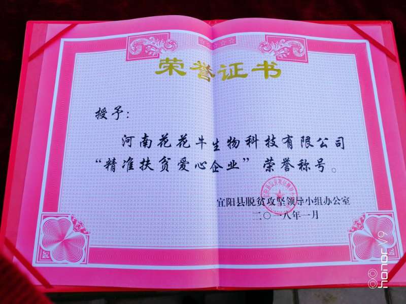 关爱成长 相伴未来——精准扶贫“暖冬公益行”走进宜阳县白杨镇 关爱成长 相伴未来——精准扶贫“暖冬公益行”走进宜阳县白杨镇