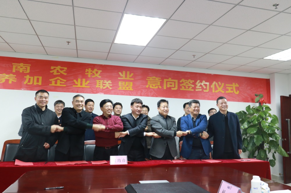 涉农企业强强联合,“抱团取暖”共迎企业发展的春天 涉农企业强强联合,“抱团取暖”共迎企业发展的春天