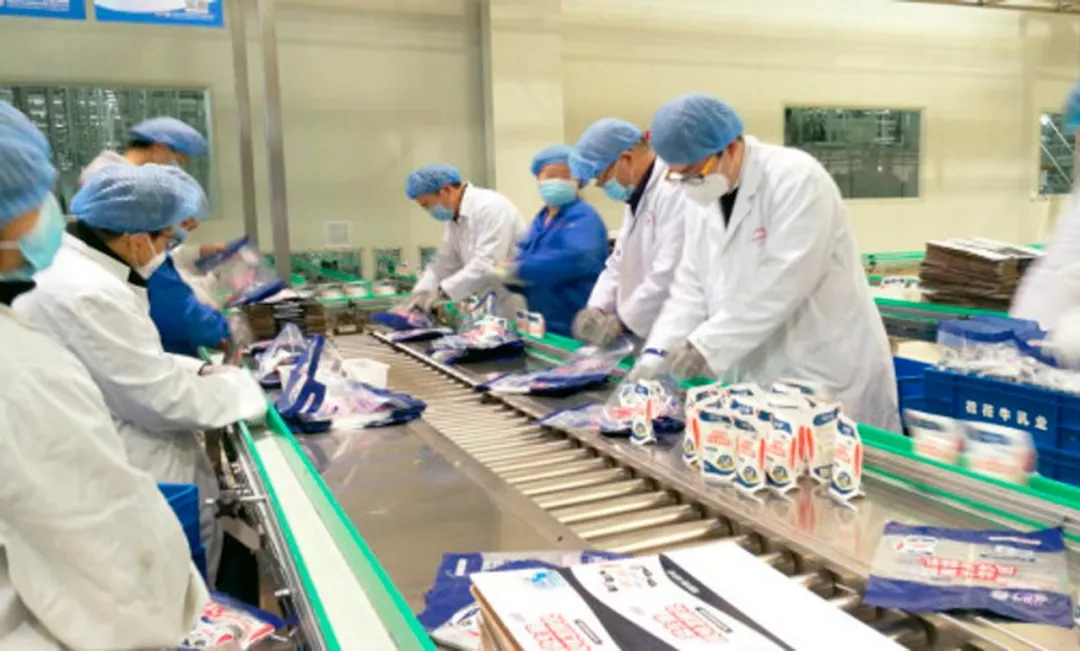 快讯丨河南省副省长武国定莅临好博在线_好博在线（中国）乳业集团调研重点保障企业复工复产情况