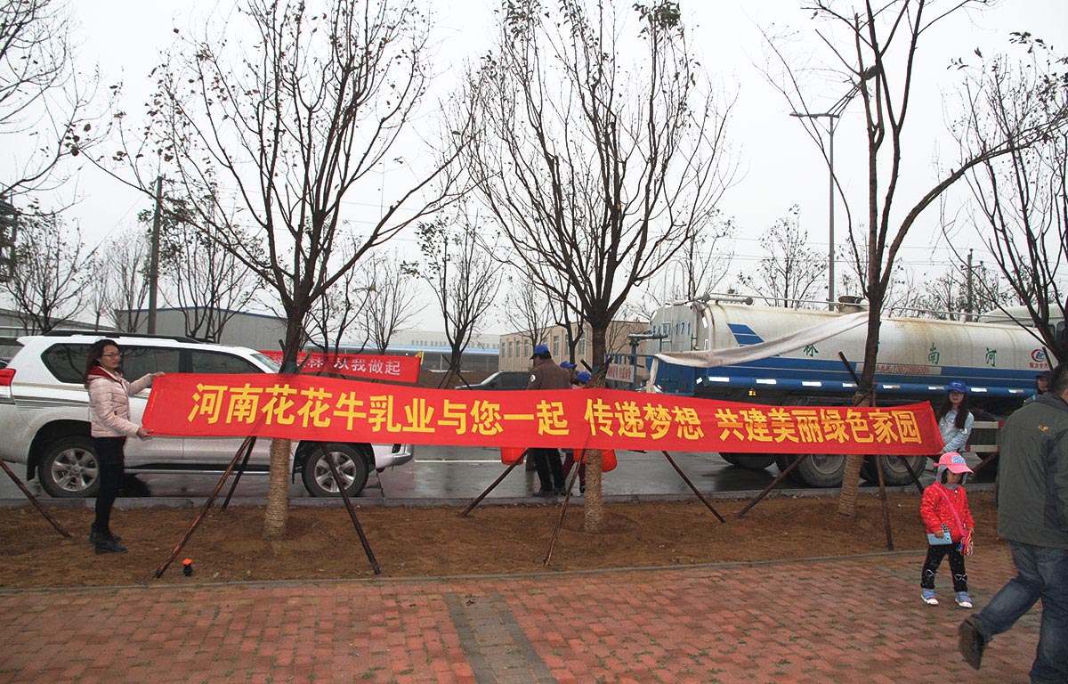 2015.3.17植树活动 2015.3.17植树活动