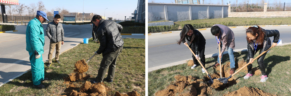 2016年植树节活动 2016年植树节活动