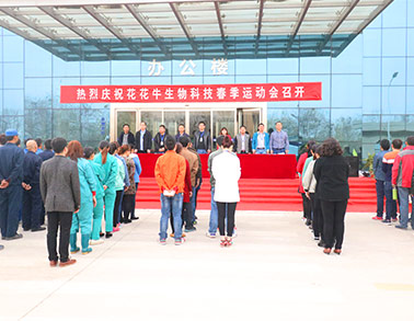 河南好博在线_好博在线(中国)生物科技有限公司举办2016年春季运动会