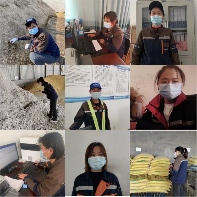 好博在线_好博在线（中国）丨点点微光汇星河——养殖事业部抗疫保生产侧记