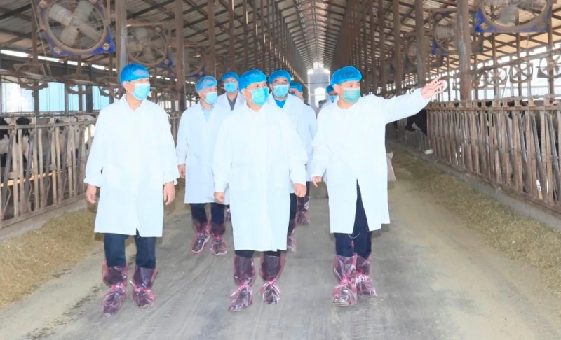 快讯丨河南省人民政府副省长武国定莅临好博在线_好博在线（中国）乳业集团瑞亚牧业调研奶源基地建设情况