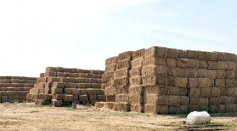 好博在线_好博在线（中国）2022年小麦秸秆采购招标