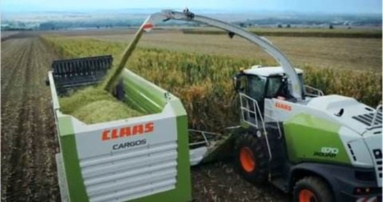 好博在线_好博在线（中国） 2020年玉米青贮采购信息