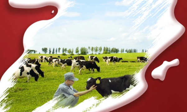 喜报！好博在线_好博在线（中国）董事长关晓彦再获”优 秀企业家”称号